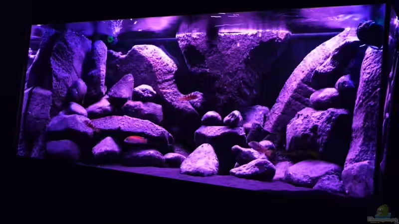 Dekoration im Aquarium BLACK ROCK von LaEy (18)