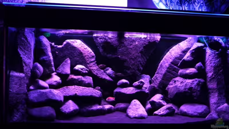 Dekoration im Aquarium BLACK ROCK von LaEy (19)