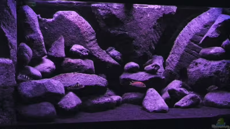 Dekoration im Aquarium BLACK ROCK von LaEy (21)