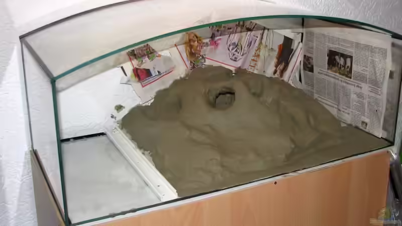 Dekoration im Aquarium Blixas Becken von Blixa (10)