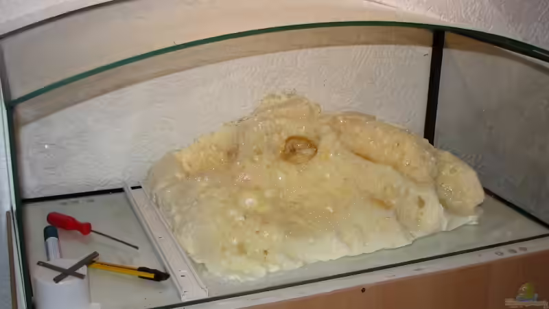 Dekoration im Aquarium Blixas Becken von Blixa (9)