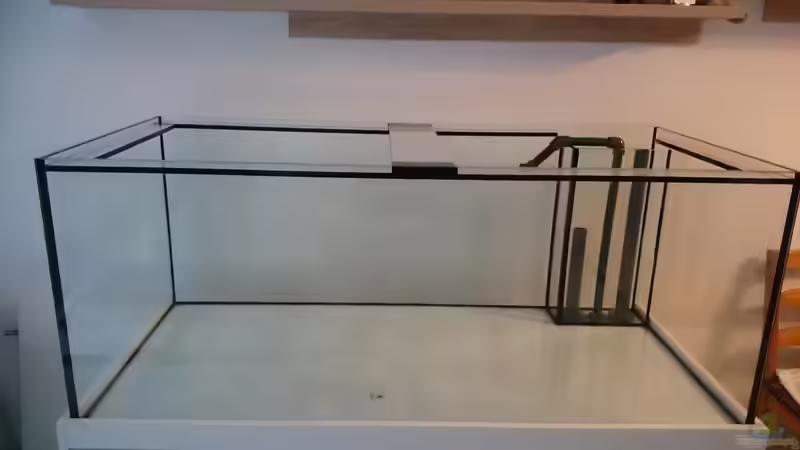 Dekoration im Aquarium BlueReef von ~Elena~ (7)