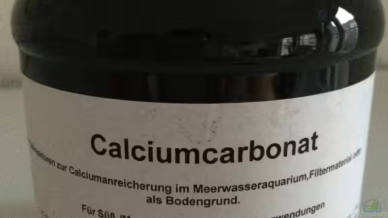 Dekoration im Aquarium Branjo Bay Lake Nyassa von Branjo (25)