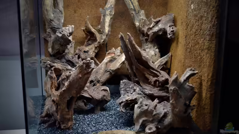 Dekoration im Aquarium Canyon von Junglist (23)