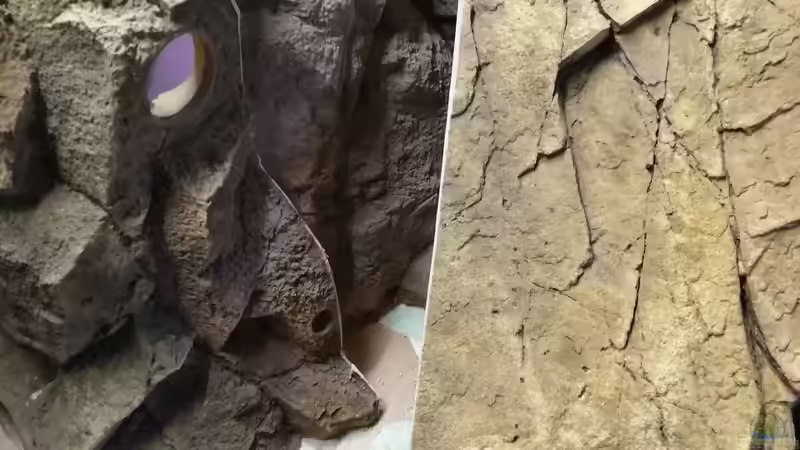 Dekoration im Aquarium Central Park von Leo-FAN (31)