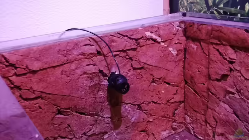 Dekoration im Aquarium Central Park von Leo-FAN (39)