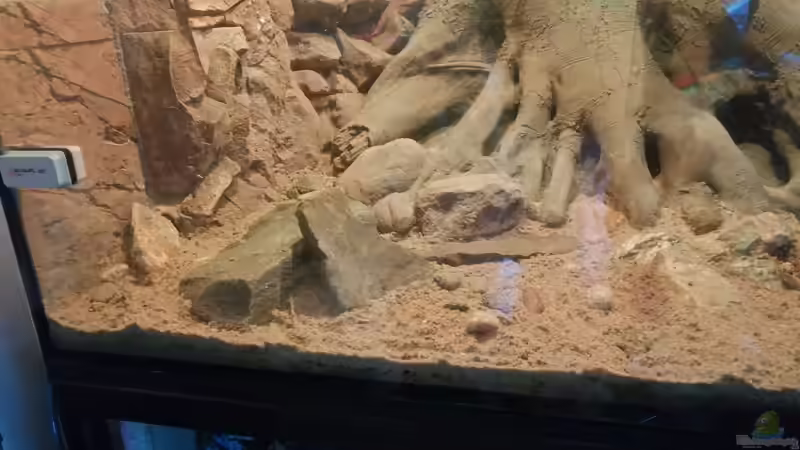 Dekoration im Aquarium Central Park von Leo-FAN (41)