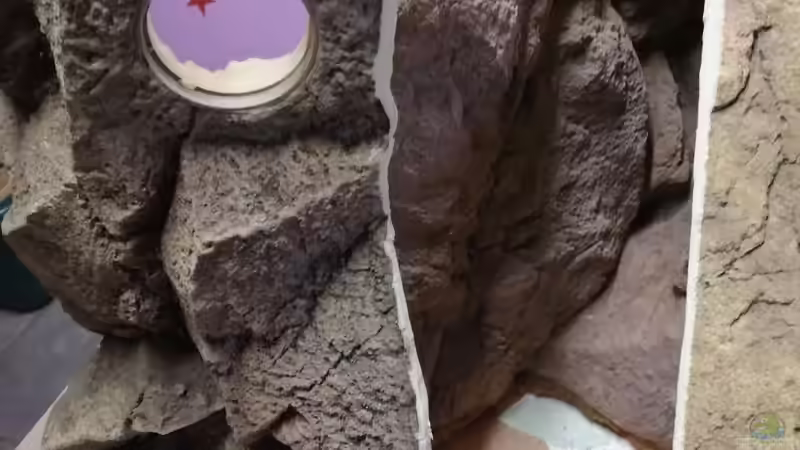 Dekoration im Aquarium Central Park von Leo-FAN (42)