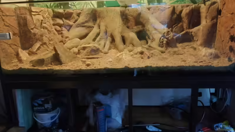 Dekoration im Aquarium Central Park von Leo-FAN (43)