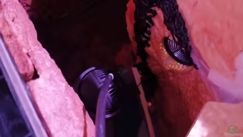 Dekoration im Aquarium Central Park von Leo-FAN (44)