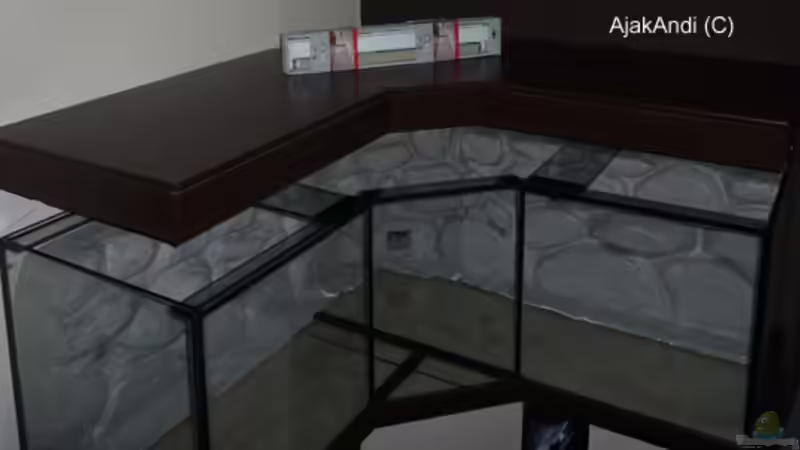 Dekoration im Aquarium Corner Reef-aufgelöst- von AjakAndi (9)