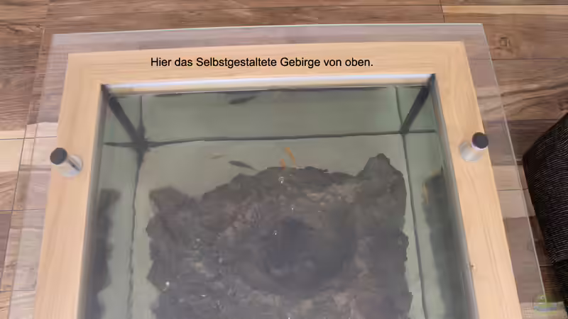 Dekoration im Aquarium Couchtisch Aquarium von Florian Böhling (7)