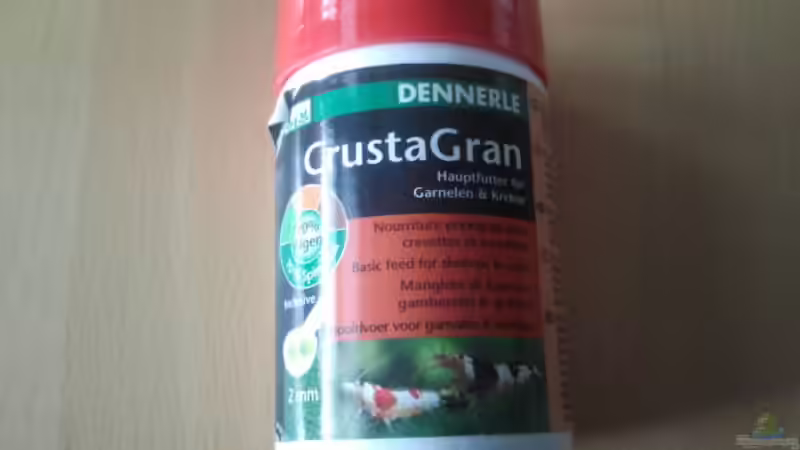 Dekoration im Aquarium Crystal Red Home von Goldi 1977 (10)