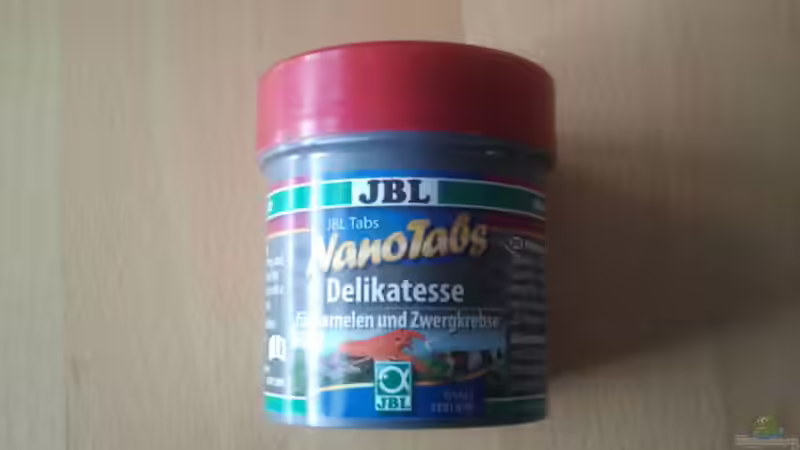 Dekoration im Aquarium Crystal Red Home von Goldi 1977 (12)