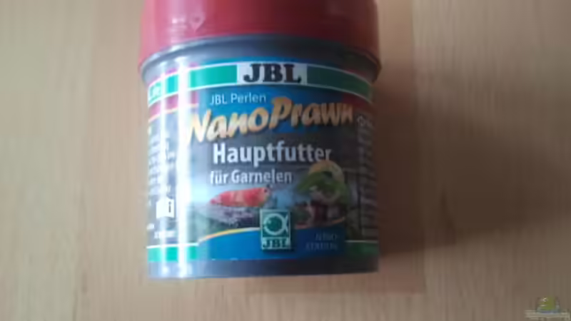 Dekoration im Aquarium Crystal Red Home von Goldi 1977 (13)