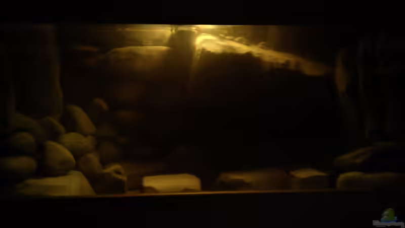 Dekoration im Aquarium dark dream von LaEy (38)