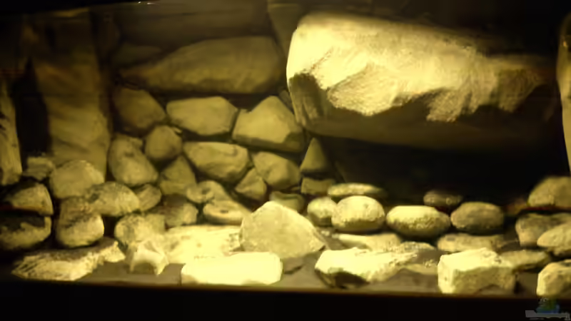 Dekoration im Aquarium dark dream von LaEy (44)