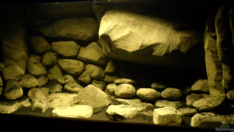 Dekoration im Aquarium dark dream von LaEy (45)