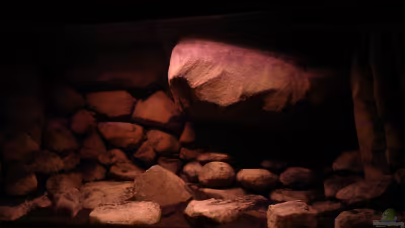 Dekoration im Aquarium dark dream von LaEy (46)