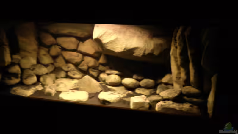 Dekoration im Aquarium dark dream von LaEy (47)
