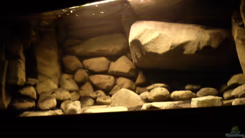 Dekoration im Aquarium dark dream von LaEy (48)