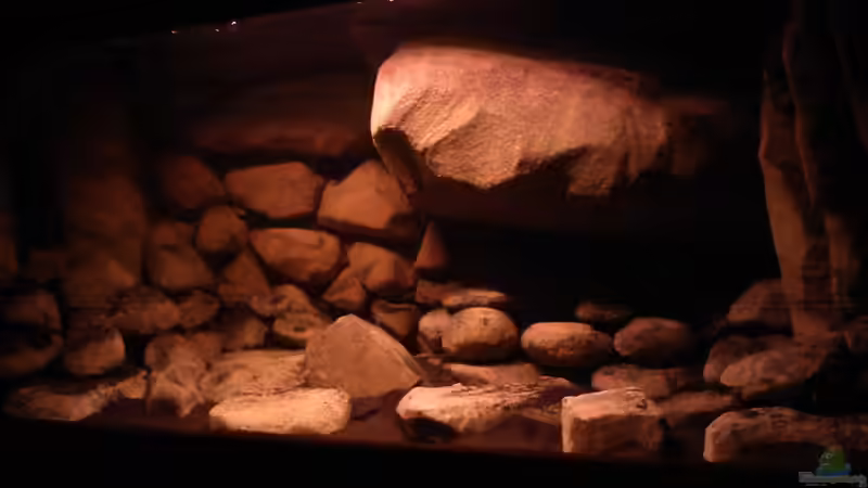 Dekoration im Aquarium dark dream von LaEy (49)