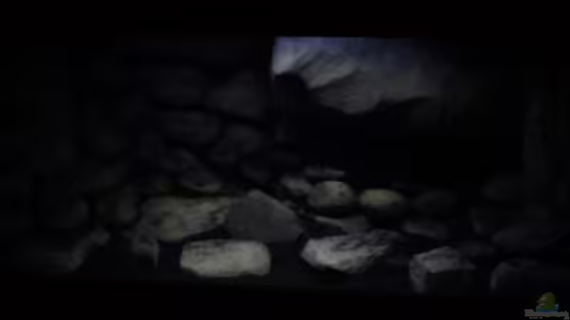 Dekoration im Aquarium dark dream von LaEy (50)