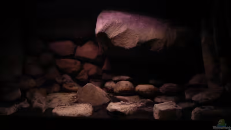 Dekoration im Aquarium dark dream von LaEy (51)
