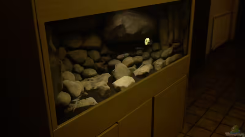 Dekoration im Aquarium dark dream von LaEy (53)