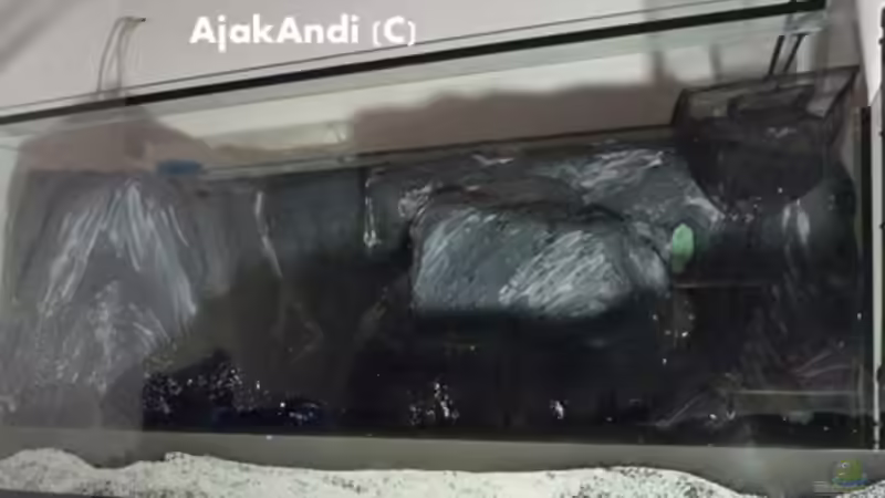 Dekoration im Aquarium Dark Stone MBuna-aufgelöst- von AjakAndi (10)