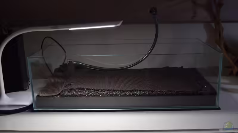 Dekoration im Aquarium Dartmoor von Junglist (12)