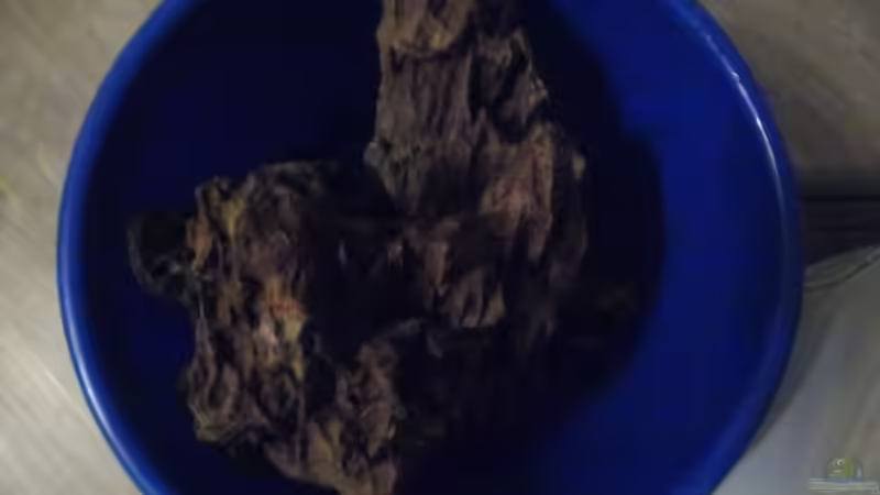 Dekoration im Aquarium Das Kleine (Nur noch als Beispiel) von Ruppinho (28)