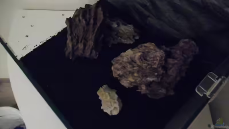Dekoration im Aquarium Das Kleine (Nur noch als Beispiel) von Ruppinho (29)