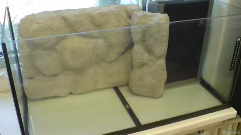 Dekoration im Aquarium Das Tanganjikabecken von timme (35)