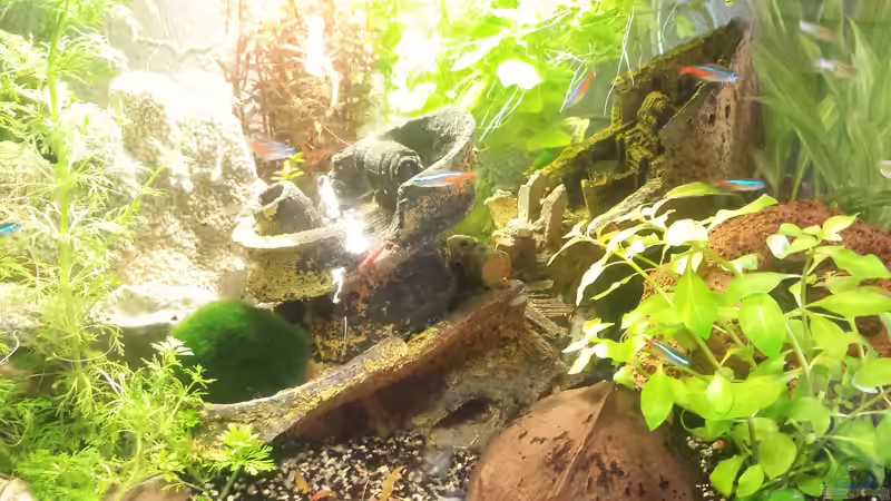 Dekoration im Aquarium Das Verschollene etwas.... von Kevin Engelsberger (2)