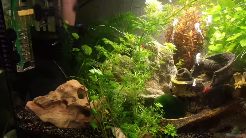 Dekoration im Aquarium Das Verschollene etwas.... von Kevin Engelsberger (3)