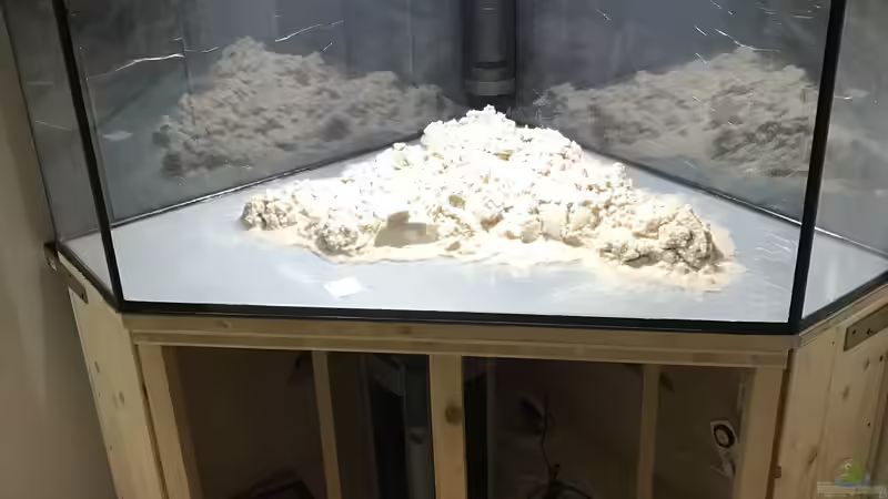 Dekoration im Aquarium Delta Eck Südamerika (Aufgelöst) von BlueWave (6)