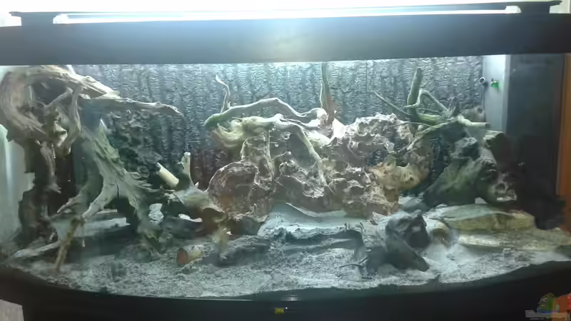 Dekoration im Aquarium Dream von Krüml (15)