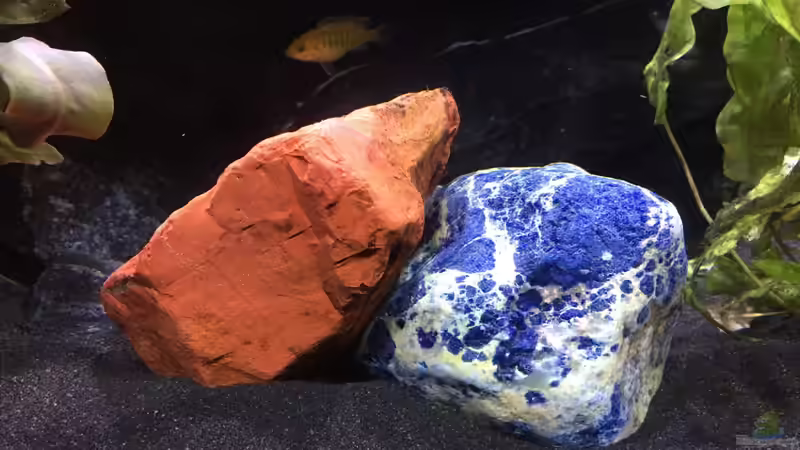 Dekoration im Aquarium Dunkles Malawi von Saikon (5)