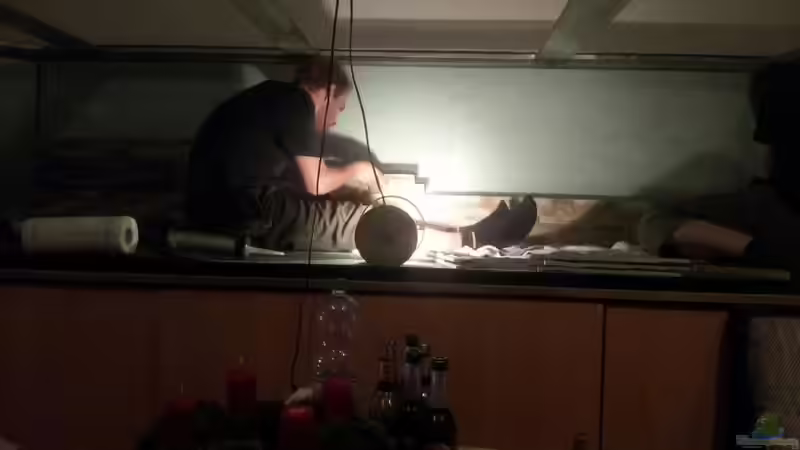 Dekoration im Aquarium Ein Traum in groß und rochenfreundlich von Kenno (6)