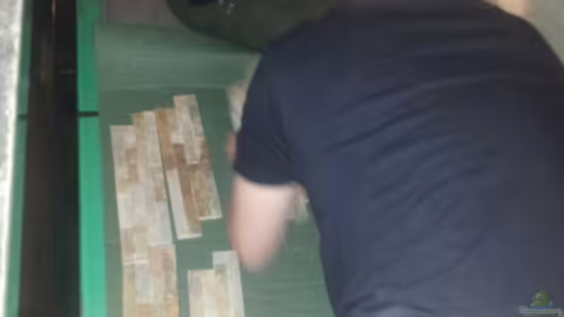 Dekoration im Aquarium Ein Traum in groß und rochenfreundlich von Kenno (7)