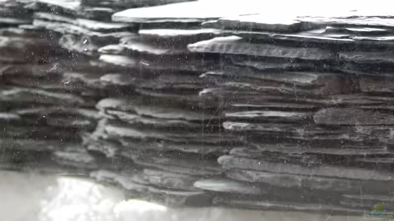 Dekoration im Aquarium eine neue Welt von Heinz Von B1 (17)