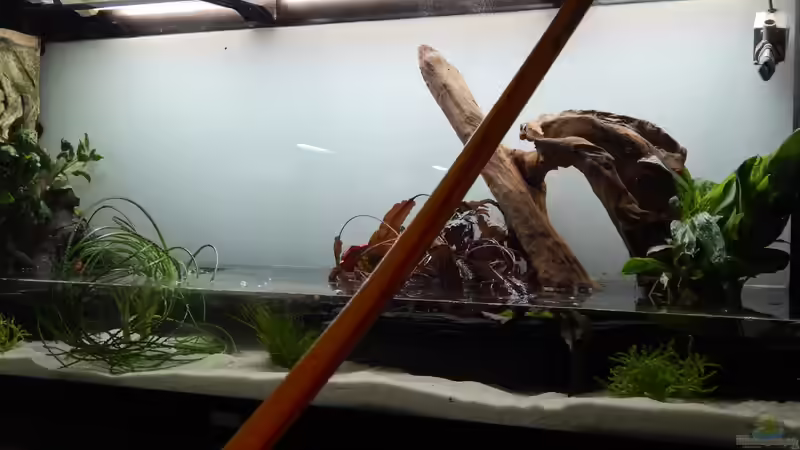 Dekoration im Aquarium eine neue Welt von Heinz Von B1 (21)