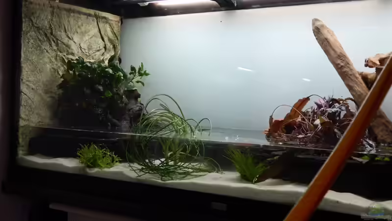 Dekoration im Aquarium eine neue Welt von Heinz Von B1 (22)