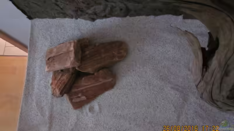 Dekoration im Aquarium Erfüllter Traum(nur noch als Beispiel) von Ottche (27)