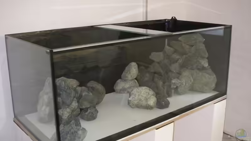 Dekoration im Aquarium Fadenmaulbrüter-Tank von Andi*Sehlde (24)