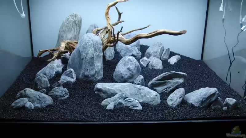 Dekoration im Aquarium Fading Memories von Bjarke (11)