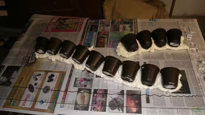 Dekoration im Aquarium Farbenfrohes Steilufer von @mazonas (28)