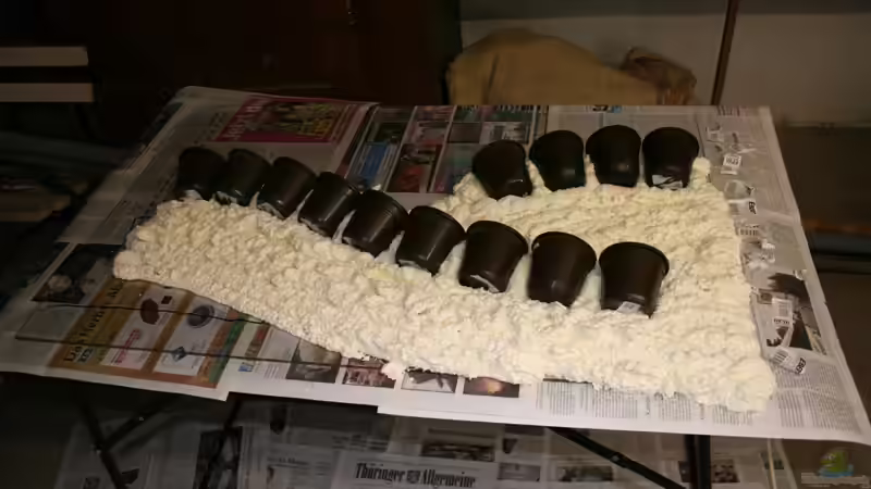 Dekoration im Aquarium Farbenfrohes Steilufer von @mazonas (29)