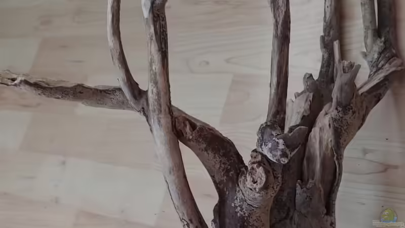 Dekoration im Aquarium Fensterbank von Miss Kasimir (9)